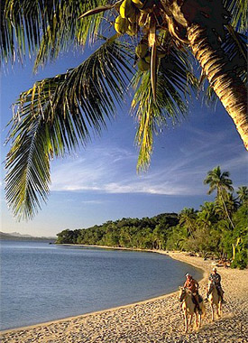 Turtle Island